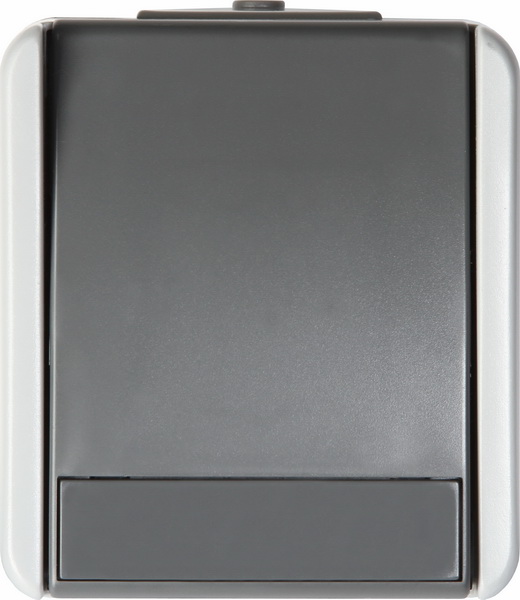 item-images-SKLOPKA OBIČNA 10A/250V SIVA N/Ž TEM SF10GY-